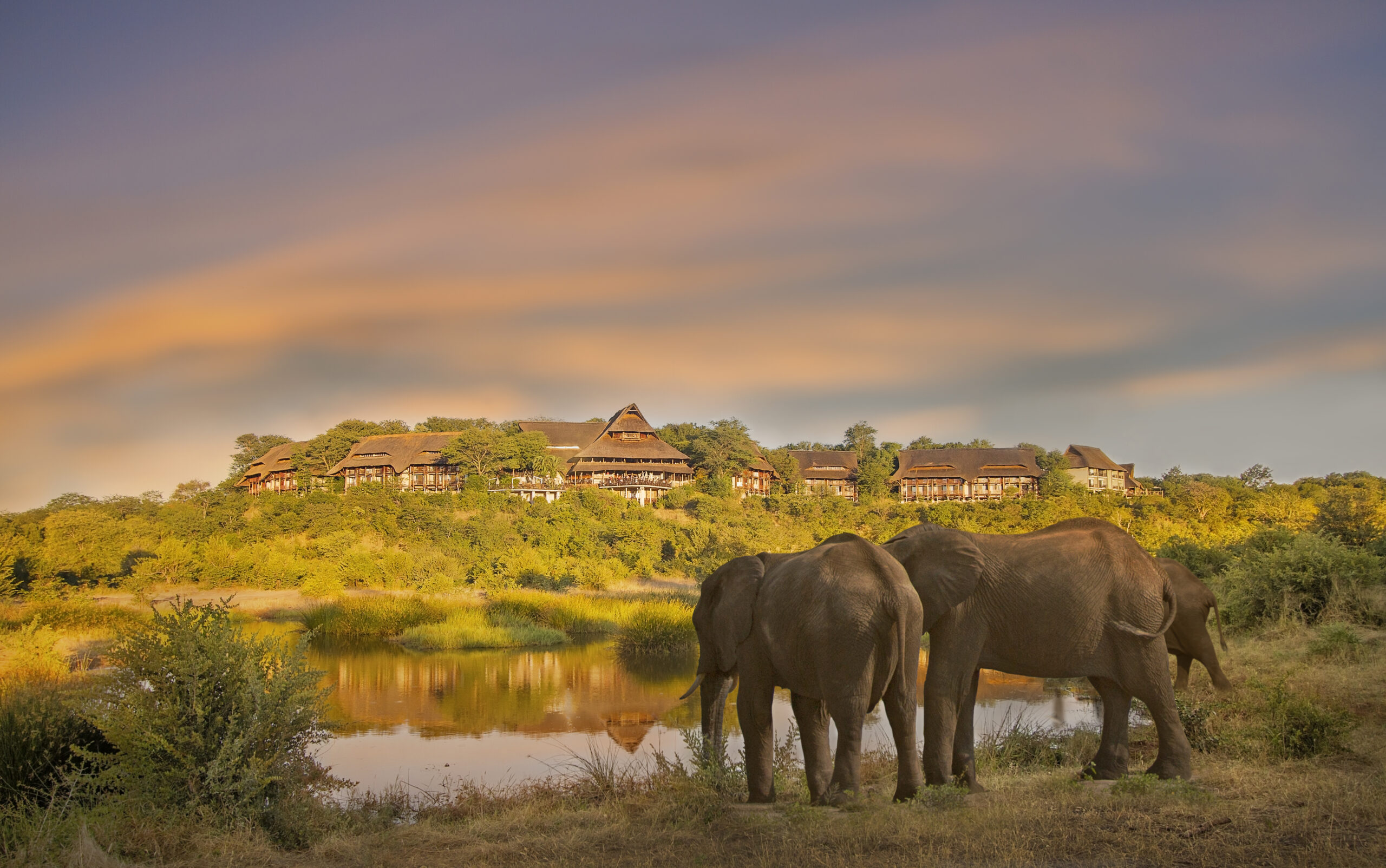 Elephants at a waterhole below Victoria Falls Safari Lodge, Zimbabwe