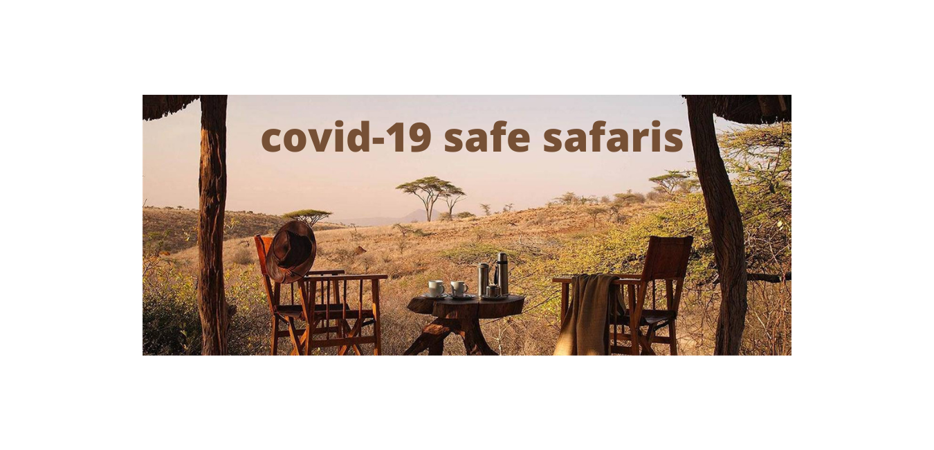 Zimbabwe Covid-19 Guidelines