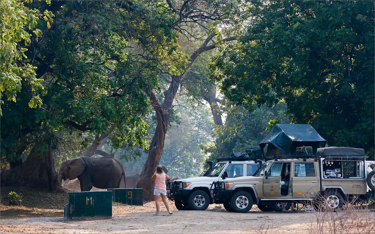 Camping in Mana Pools