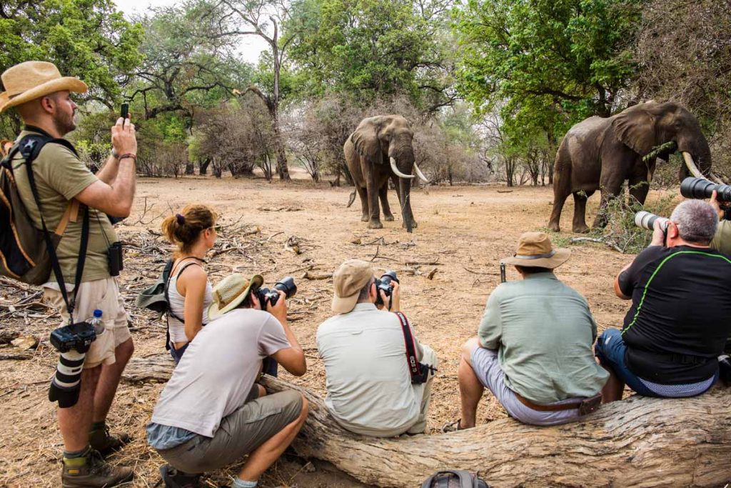 10 Nights Zambezi Magic Safari