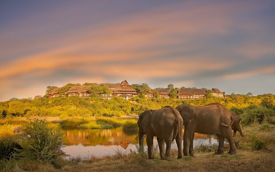 Victoria Falls Safari Club waterhole view