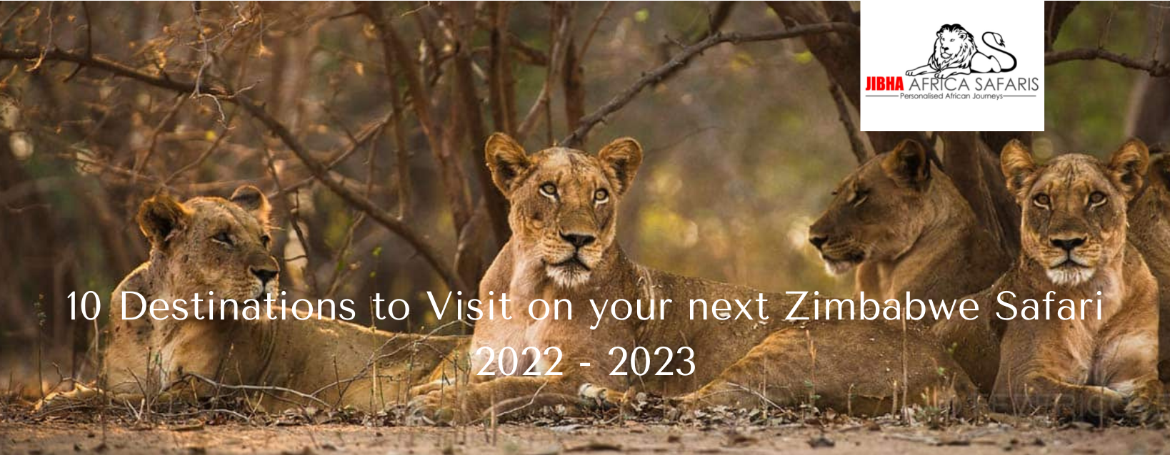 Top 10 Zimbabwe Destinations